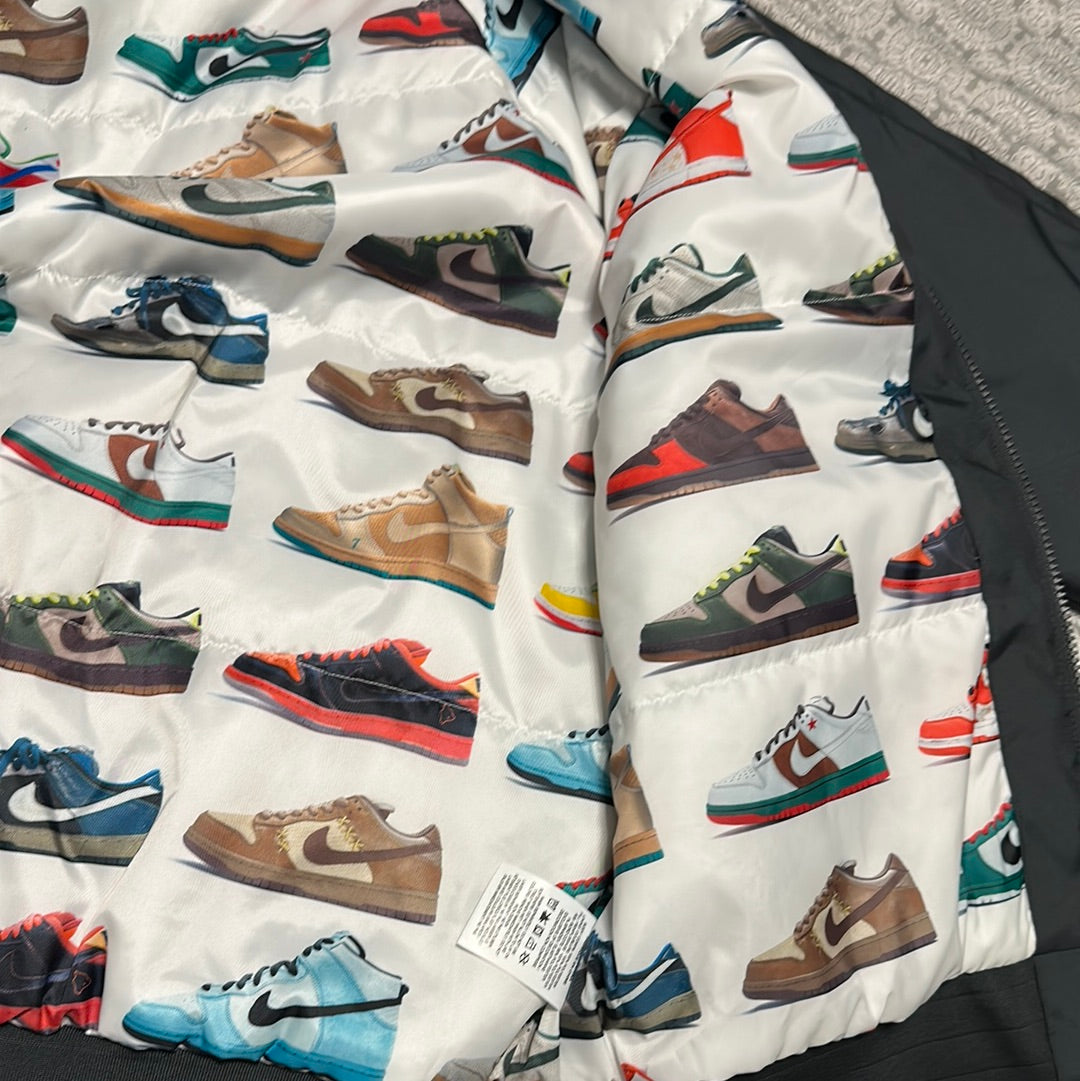Nike SB iso dunk – Raptors